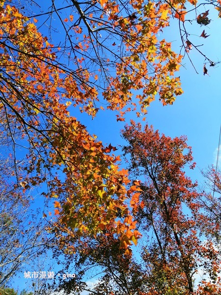 IMG_20190106_113726.jpg IMG_20190106_113726.jpg