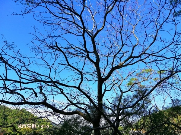 IMG_20190106_132402.jpg IMG_20190106_132402.jpg