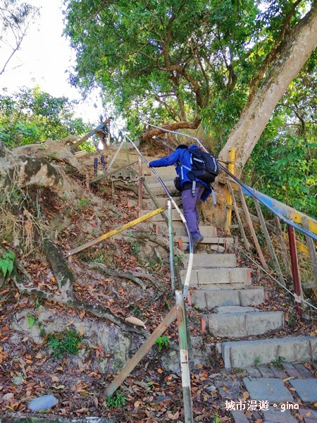 IMG_20190106_132820.jpg IMG_20190106_132820.jpg