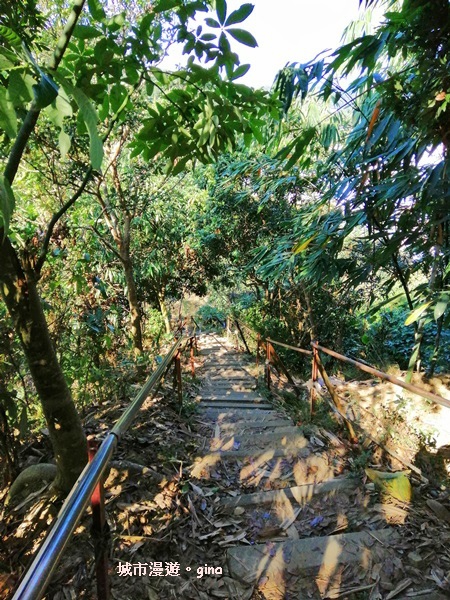 IMG_20190106_133248.jpg IMG_20190106_133248.jpg