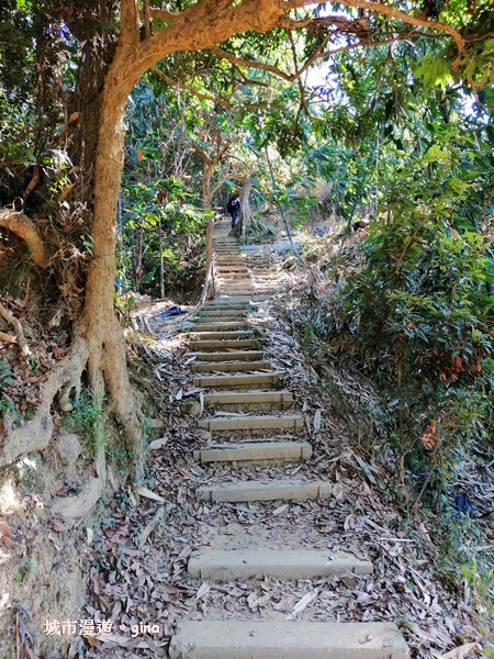 IMG_20190106_133452.jpg IMG_20190106_133452.jpg