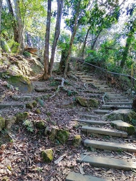 IMG_20190106_134210.jpg IMG_20190106_134210.jpg