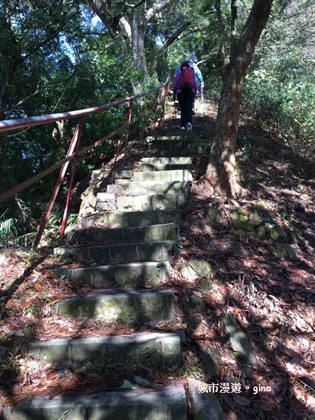 IMG_20190106_135018.jpg IMG_20190106_135018.jpg