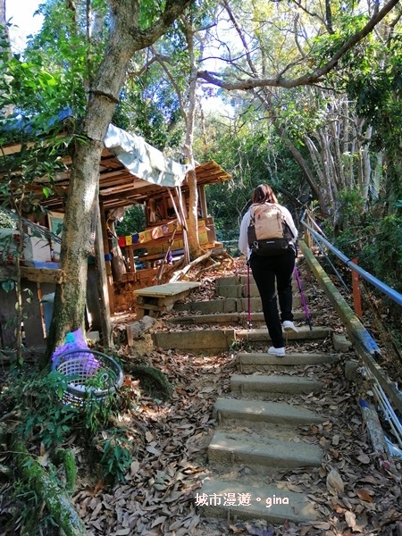 IMG_20190106_135039.jpg IMG_20190106_135039.jpg