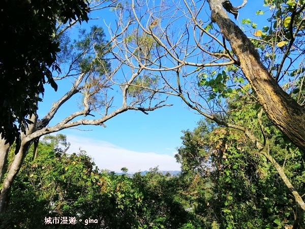 IMG_20190106_144519.jpg IMG_20190106_144519.jpg