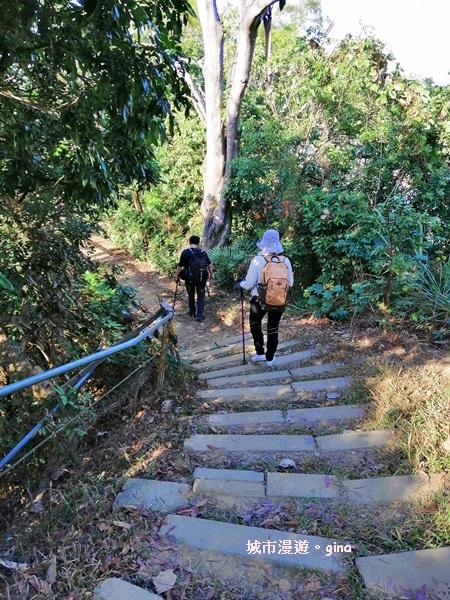 IMG_20190106_144522.jpg IMG_20190106_144522.jpg