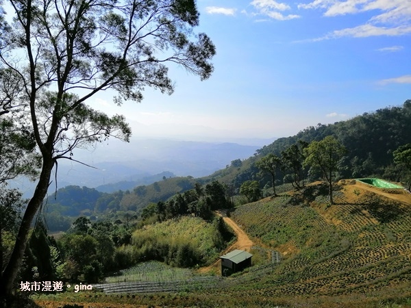 IMG_20190207_085100.jpg IMG_20190207_085100.jpg