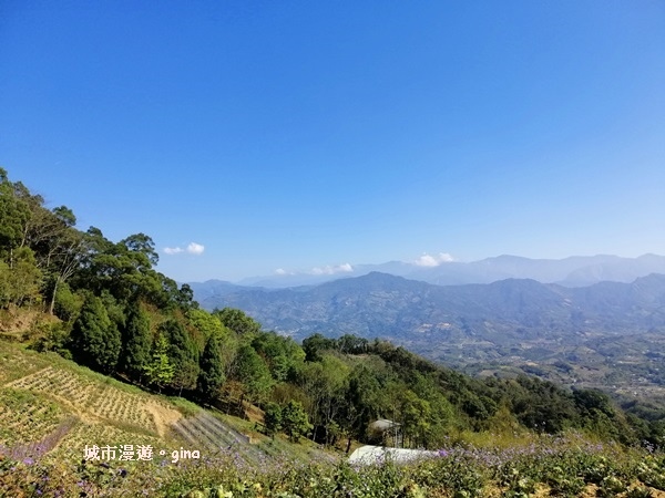 IMG_20190207_085102.jpg IMG_20190207_085102.jpg