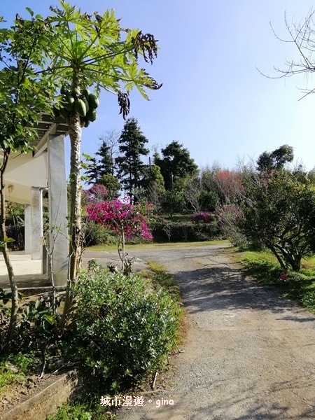 IMG_20190207_091121.jpg IMG_20190207_091121.jpg