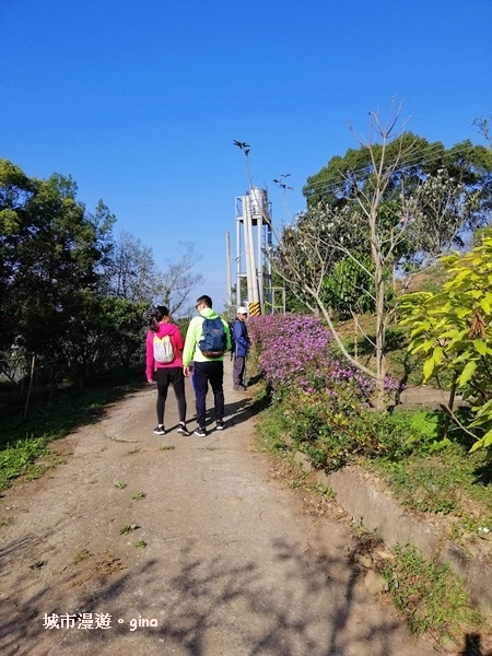 IMG_20190207_091125.jpg IMG_20190207_091125.jpg