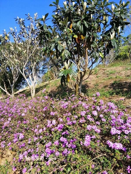 IMG_20190207_091145.jpg IMG_20190207_091145.jpg