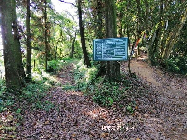 IMG_20190207_091317.jpg IMG_20190207_091317.jpg