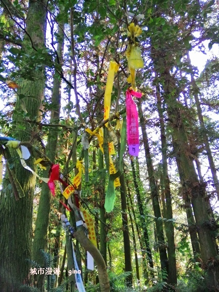 IMG_20190207_091335.jpg IMG_20190207_091335.jpg