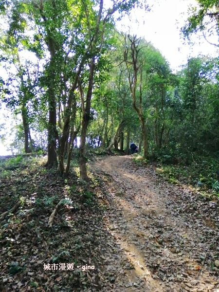 IMG_20190207_091552.jpg IMG_20190207_091552.jpg