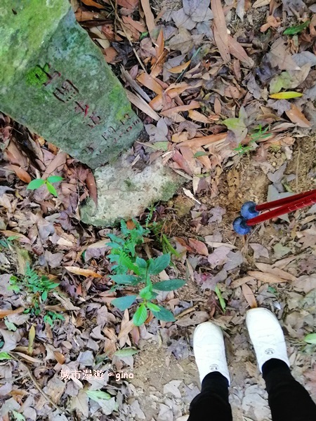 IMG_20190207_091634.jpg IMG_20190207_091634.jpg