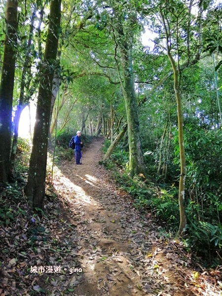 IMG_20190207_091640.jpg IMG_20190207_091640.jpg