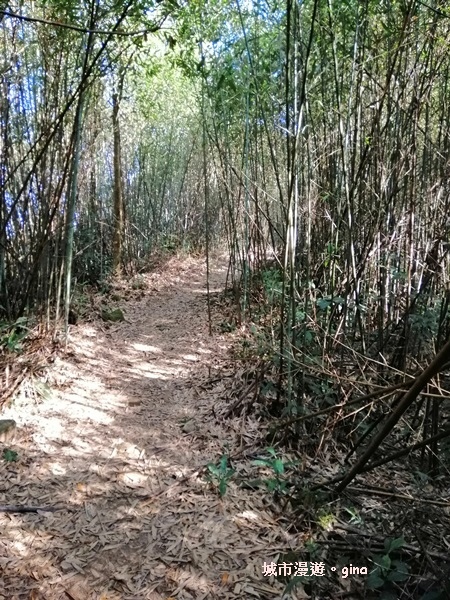 IMG_20190207_091933.jpg IMG_20190207_091933.jpg