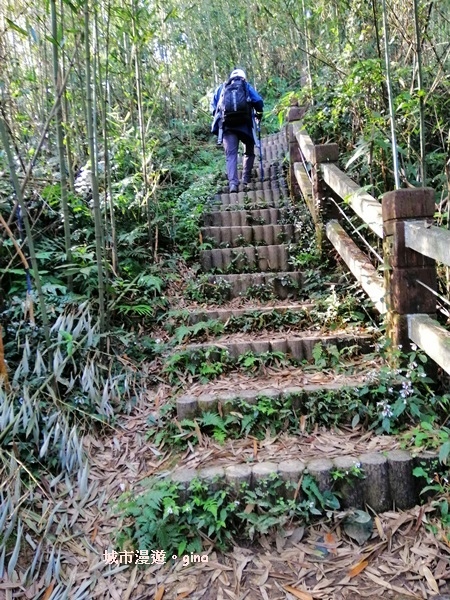 IMG_20190207_092013.jpg IMG_20190207_092013.jpg