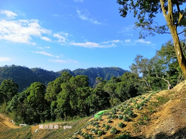 IMG_20190207_092731.jpg IMG_20190207_092731.jpg