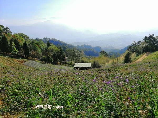 IMG_20190207_093158.jpg IMG_20190207_093158.jpg