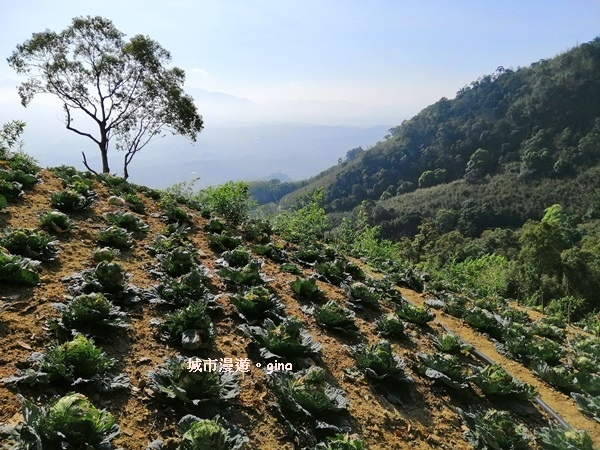 IMG_20190207_093338.jpg IMG_20190207_093338.jpg