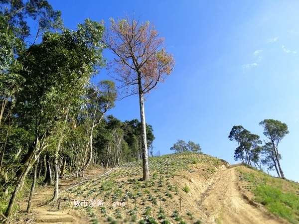 IMG_20190207_093707.jpg IMG_20190207_093707.jpg