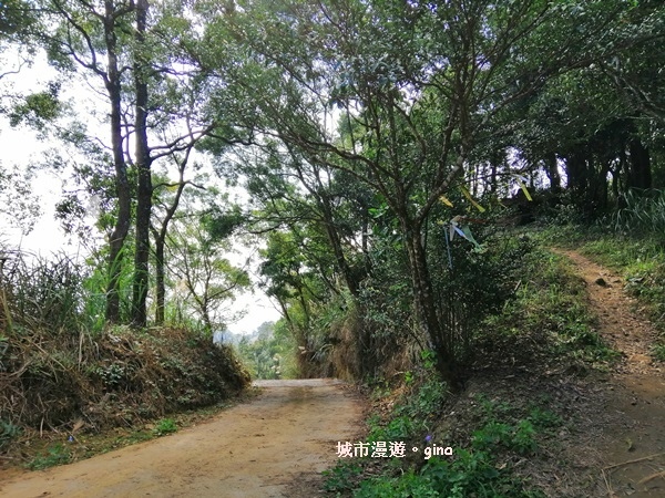 IMG_20190207_093936.jpg IMG_20190207_093936.jpg