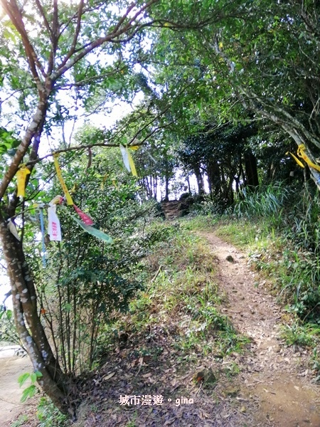 IMG_20190207_093945.jpg IMG_20190207_093945.jpg