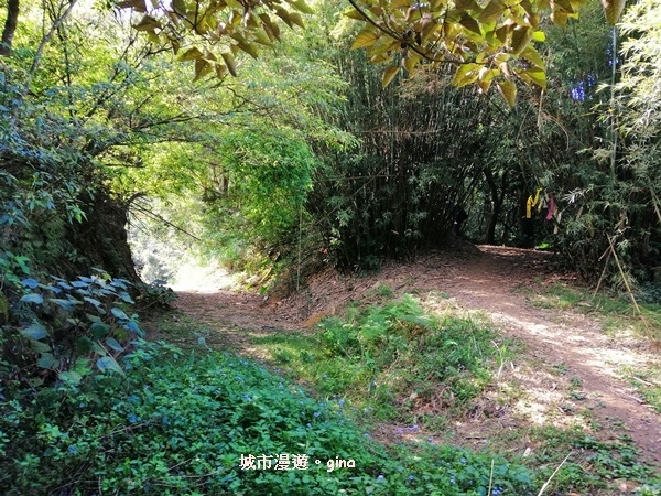 IMG_20190207_094323.jpg IMG_20190207_094323.jpg