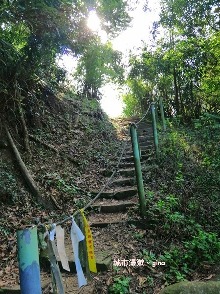 IMG_20190207_094325.jpg IMG_20190207_094325.jpg