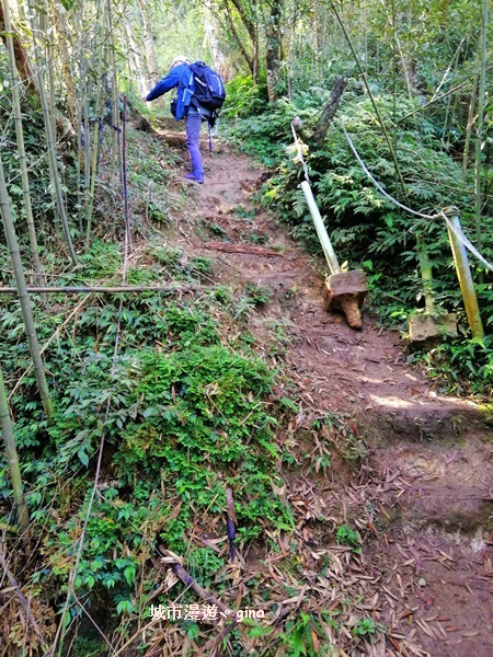 IMG_20190207_094813.jpg IMG_20190207_094813.jpg