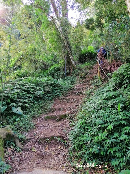 IMG_20190207_094932.jpg IMG_20190207_094932.jpg