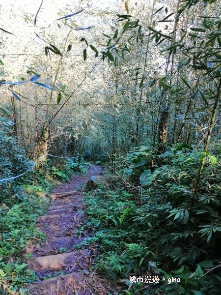 IMG_20190207_095905.jpg IMG_20190207_095905.jpg