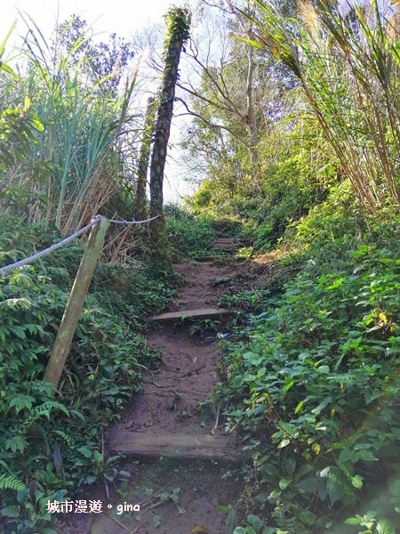 IMG_20190207_100016.jpg IMG_20190207_100016.jpg