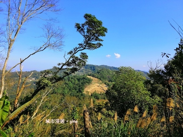 IMG_20190207_100131.jpg IMG_20190207_100131.jpg