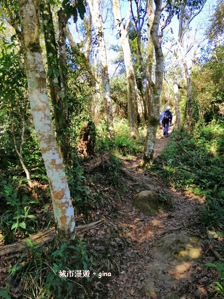 IMG_20190207_100311.jpg IMG_20190207_100311.jpg