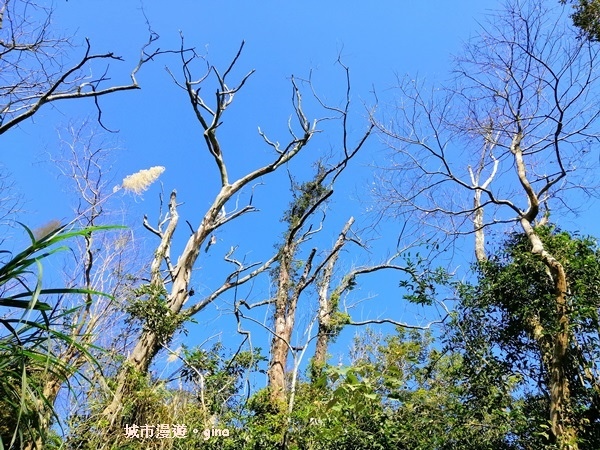 IMG_20190207_100402.jpg IMG_20190207_100402.jpg