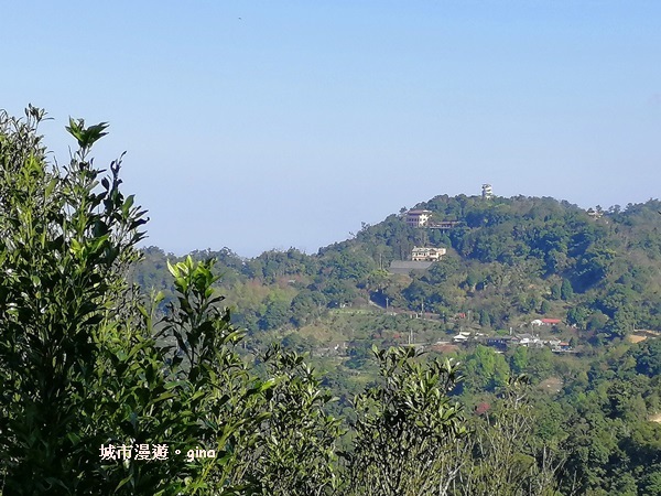 IMG_20190207_100621.jpg IMG_20190207_100621.jpg