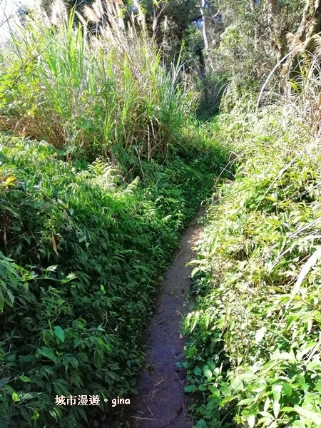 IMG_20190207_101058.jpg IMG_20190207_101058.jpg