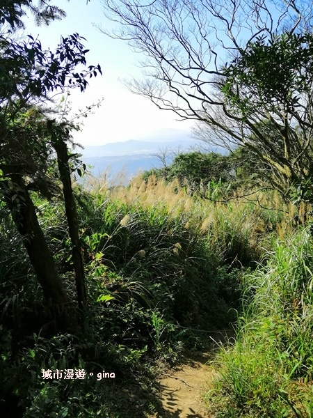 IMG_20190207_100926.jpg IMG_20190207_100926.jpg