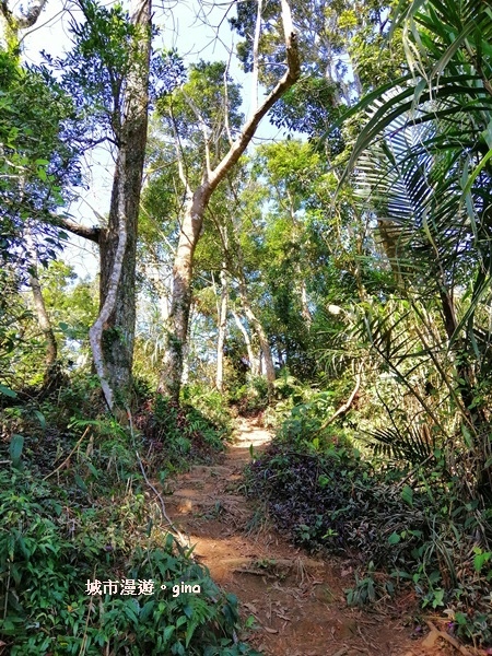 IMG_20190207_102252.jpg IMG_20190207_102252.jpg