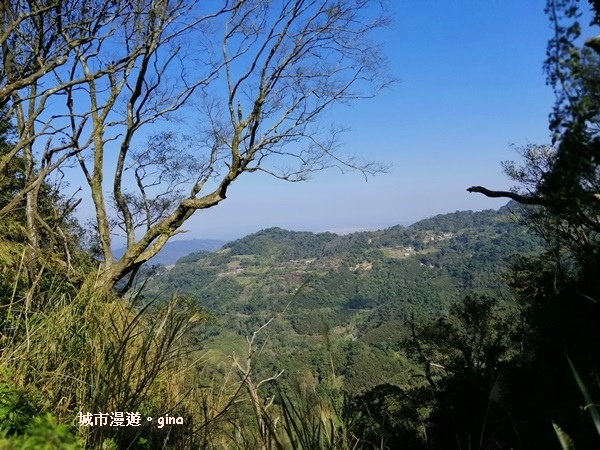 IMG_20190207_102722.jpg IMG_20190207_102722.jpg