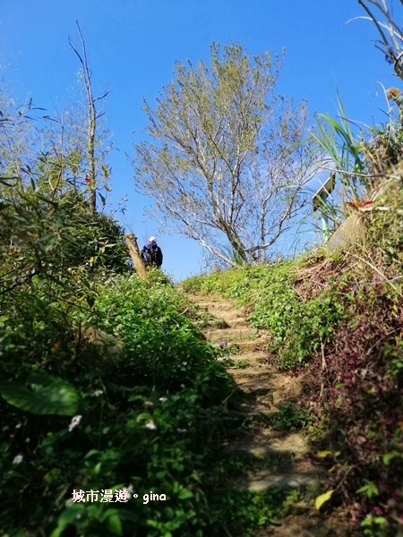 IMG_20190207_104907.jpg IMG_20190207_104907.jpg