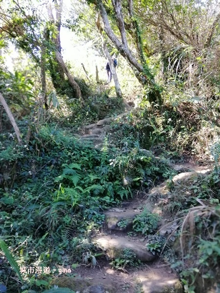 IMG_20190207_103052.jpg IMG_20190207_103052.jpg