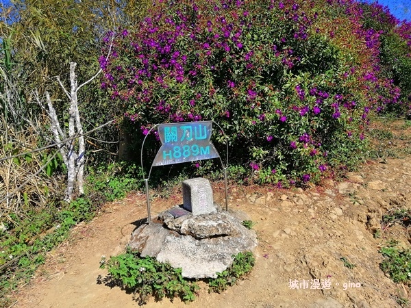 IMG_20190207_114119.jpg IMG_20190207_114119.jpg