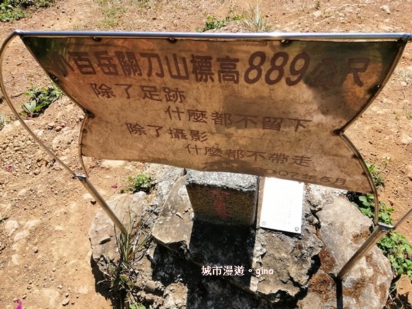 IMG_20190207_114445.jpg IMG_20190207_114445.jpg