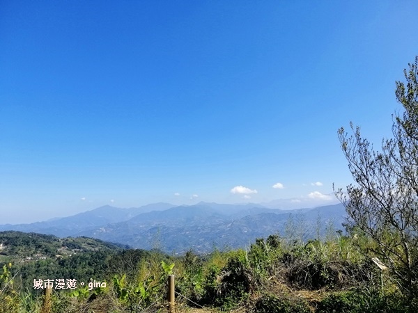 IMG_20190207_115700.jpg IMG_20190207_115700.jpg