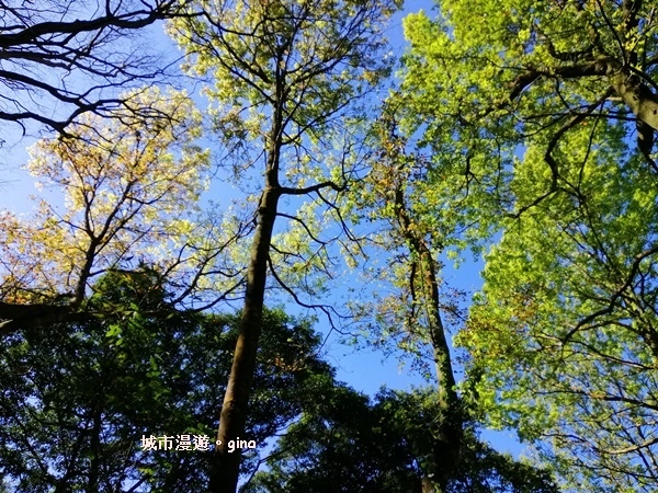 IMG_20190207_130440.jpg IMG_20190207_130440.jpg