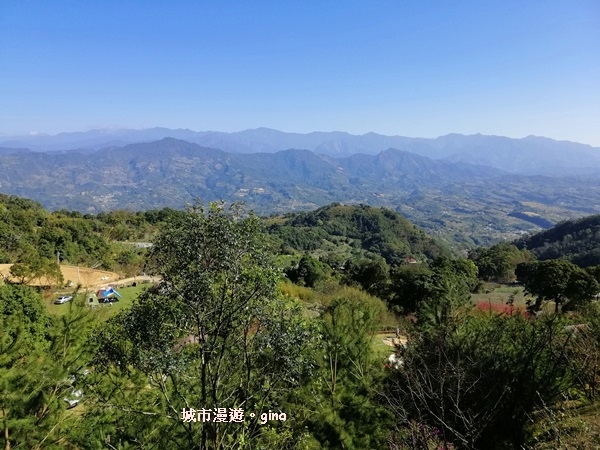 IMG_20190207_135156.jpg IMG_20190207_135156.jpg