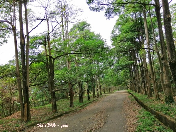 IMG_20190317_105612.jpg IMG_20190317_105612.jpg